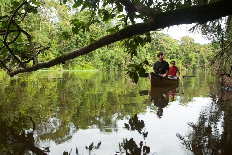 Tortuguero National Park, a paradise surrounded by water.
