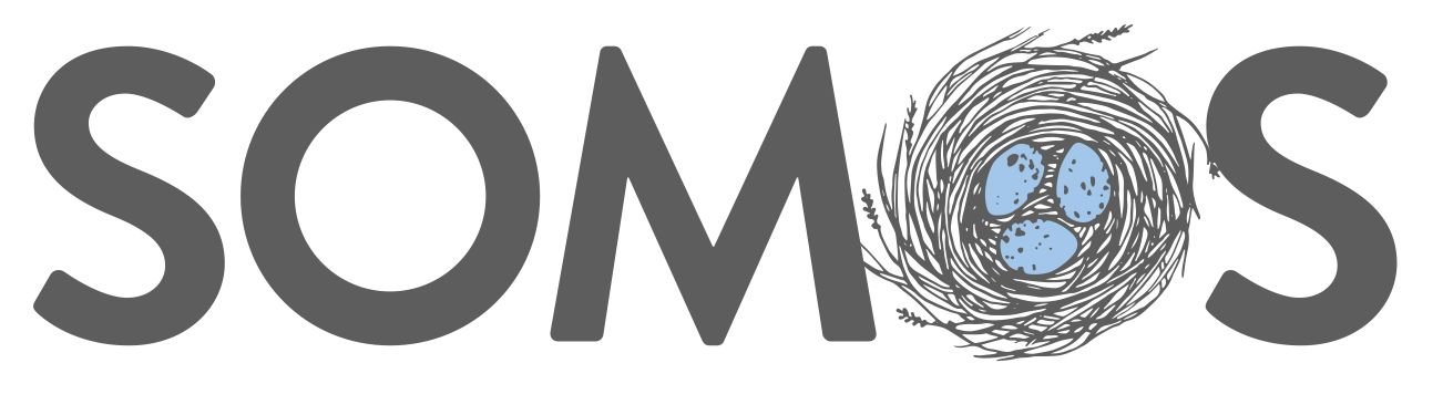 Fundacion Somos client-image