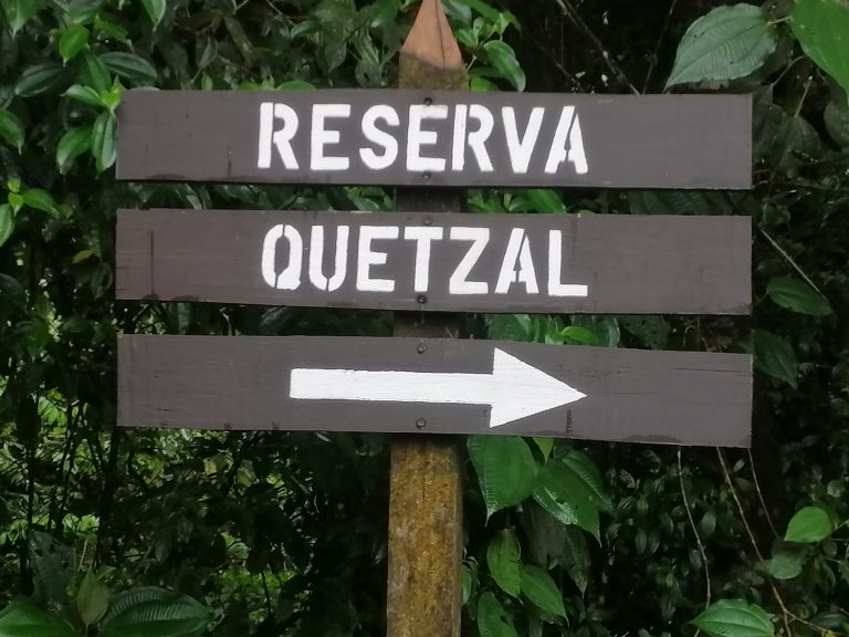 A lush reserve with a storied past: Reserva El Quetzal