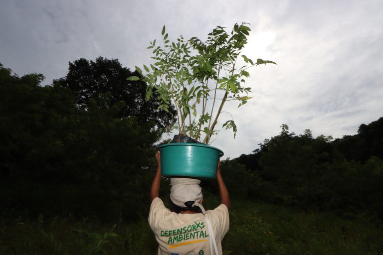 Sixty women rescue a spring on which 10 villages depend