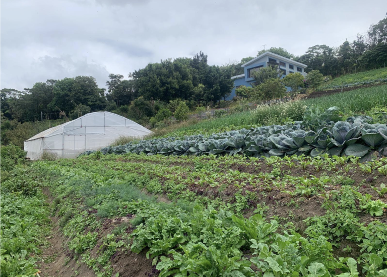 From toxic to healing: food safety at Finca Orgánica San Luis