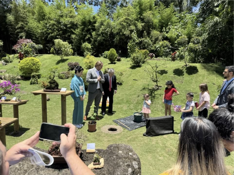 Trees of peace from Hiroshima: The message of enduring hope from Ginkgo biloba