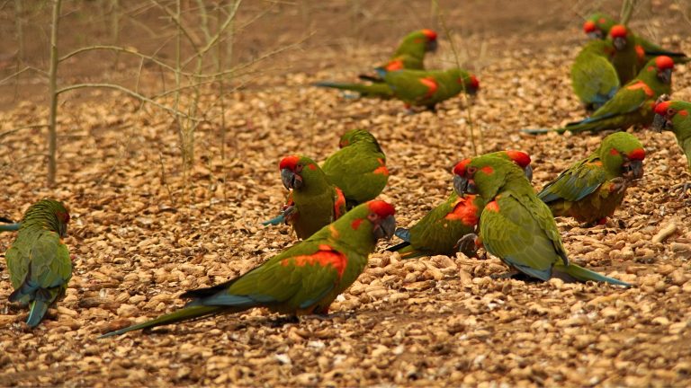 I stepped up because no one wanted to be a park guard (part 1)