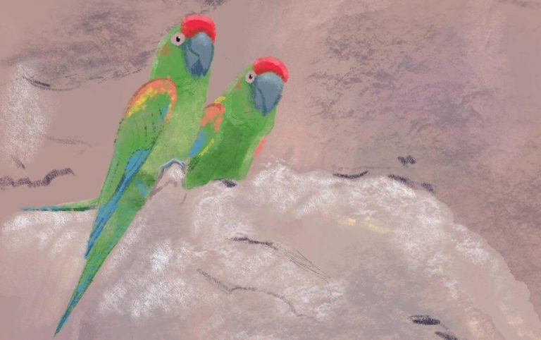 I stepped up because no one wanted to be a park guard (part 2)