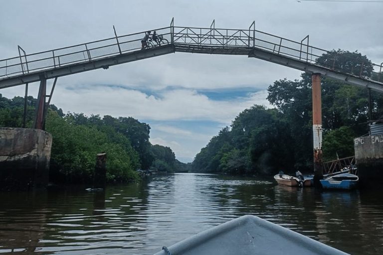 Tidal forests, the future of Puntarenas: mangroves as an engine of sustainable employment and a coastal shield