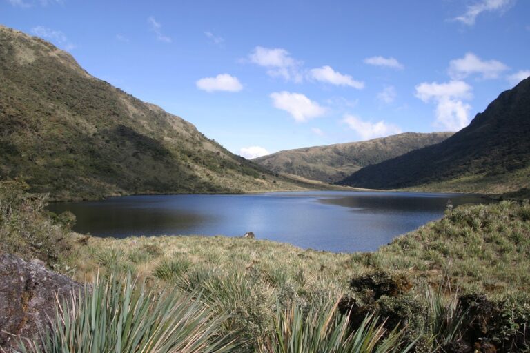 Without the moor, there is no water: the community response that seeks to ensure the water future of northern Peru