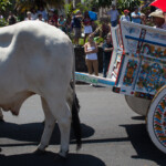 Monica Quesada Corder / El Colectivo 506