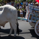 Monica Quesada Corder / El Colectivo 506