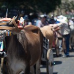 Monica Quesada Corder / El Colectivo 506