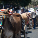 Monica Quesada Corder / El Colectivo 506