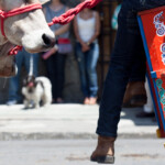 Monica Quesada Corder / El Colectivo 506