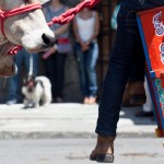 Monica Quesada Corder / El Colectivo 506