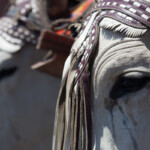Monica Quesada Corder / El Colectivo 506