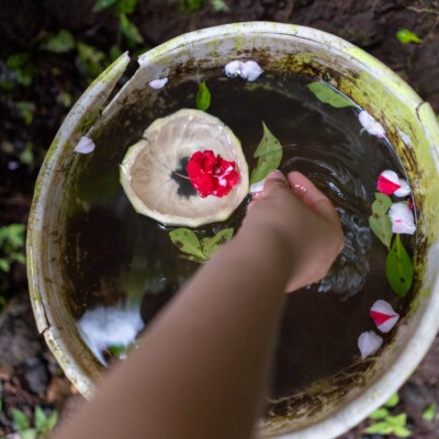 Priscilla Mora Flores / El Colectivo 506