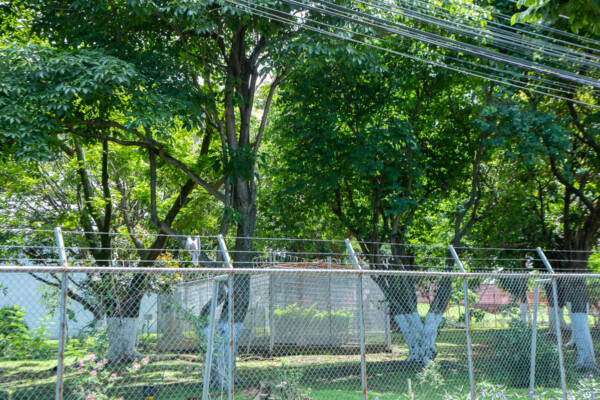 Vista desde afuera de la nueva área protegida del pozo que pertenece a la ASADA Árbol de Guaria. El encierro interno es donde se ubica el pozo. Mónica Quesada Cordero / El Colectivo 506