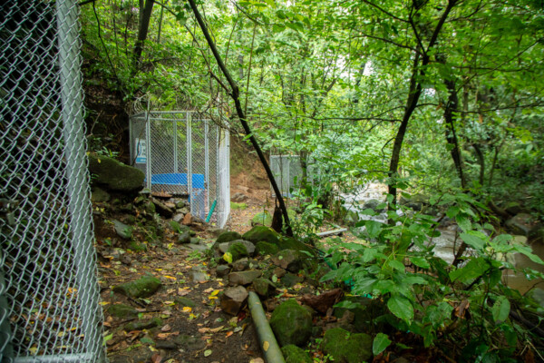 Las nacientes Baro 1 y Baro 2 están ubicadas junto al Río Achiote. Mónica Quesada Cordero / El Colectivo 506