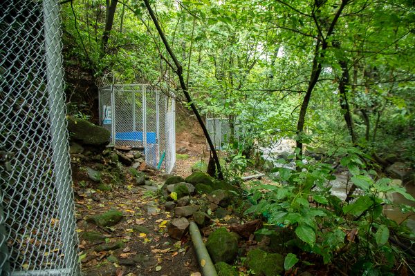 Las nacientes Baro 1 y Baro 2 están ubicadas junto al Río Achiote. Mónica Quesada Cordero / El Colectivo 506