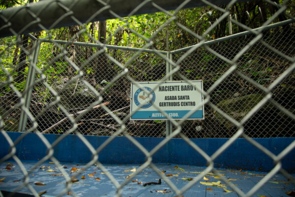 La captación de agua de la ASADA ocurre en tres nacientes, dos de ellas Baro 1 y Baro 2, están dentro de un área de protección y reforestación que pertenece a la organización. Mónica Quesada Cordero / El Colectivo 506