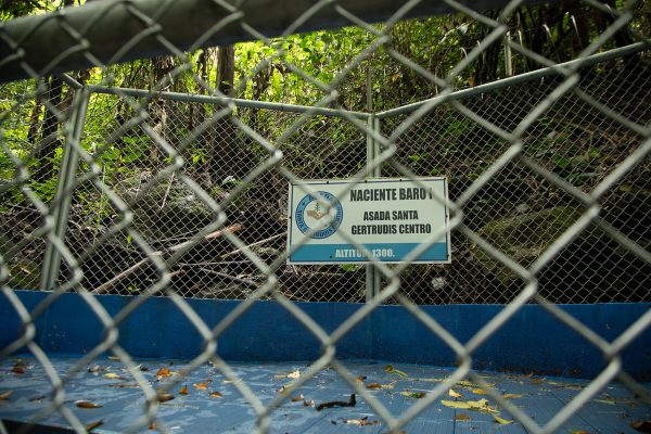 La captación de agua de la ASADA ocurre en tres nacientes, dos de ellas Baro 1 y Baro 2, están dentro de un área de protección y reforestación que pertenece a la organización. Mónica Quesada Cordero / El Colectivo 506