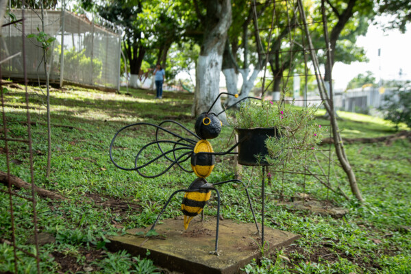 Cerrar el espacio que rodea el pozo ha permitdo crear un ambiente más natural y colocar decoración sin temor al vandalismo. Mónica Quesada Cordero / El Colectivo 506