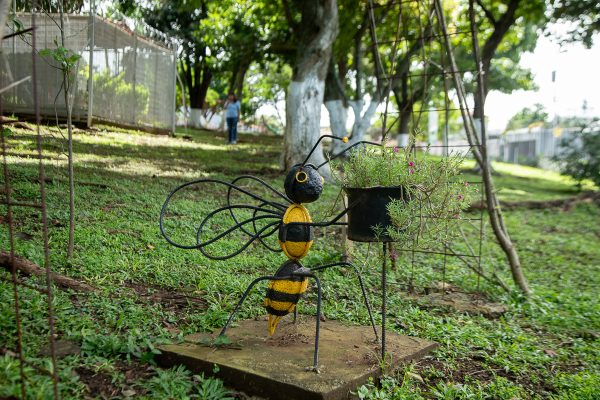 Cerrar el espacio que rodea el pozo ha permitdo crear un ambiente más natural y colocar decoración sin temor al vandalismo. Mónica Quesada Cordero / El Colectivo 506