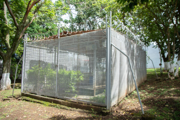 Pozo de agua de Árbol de Guaria en la Urbanización Baviera. Mónica Quesada Cordero / El Colectivo 506